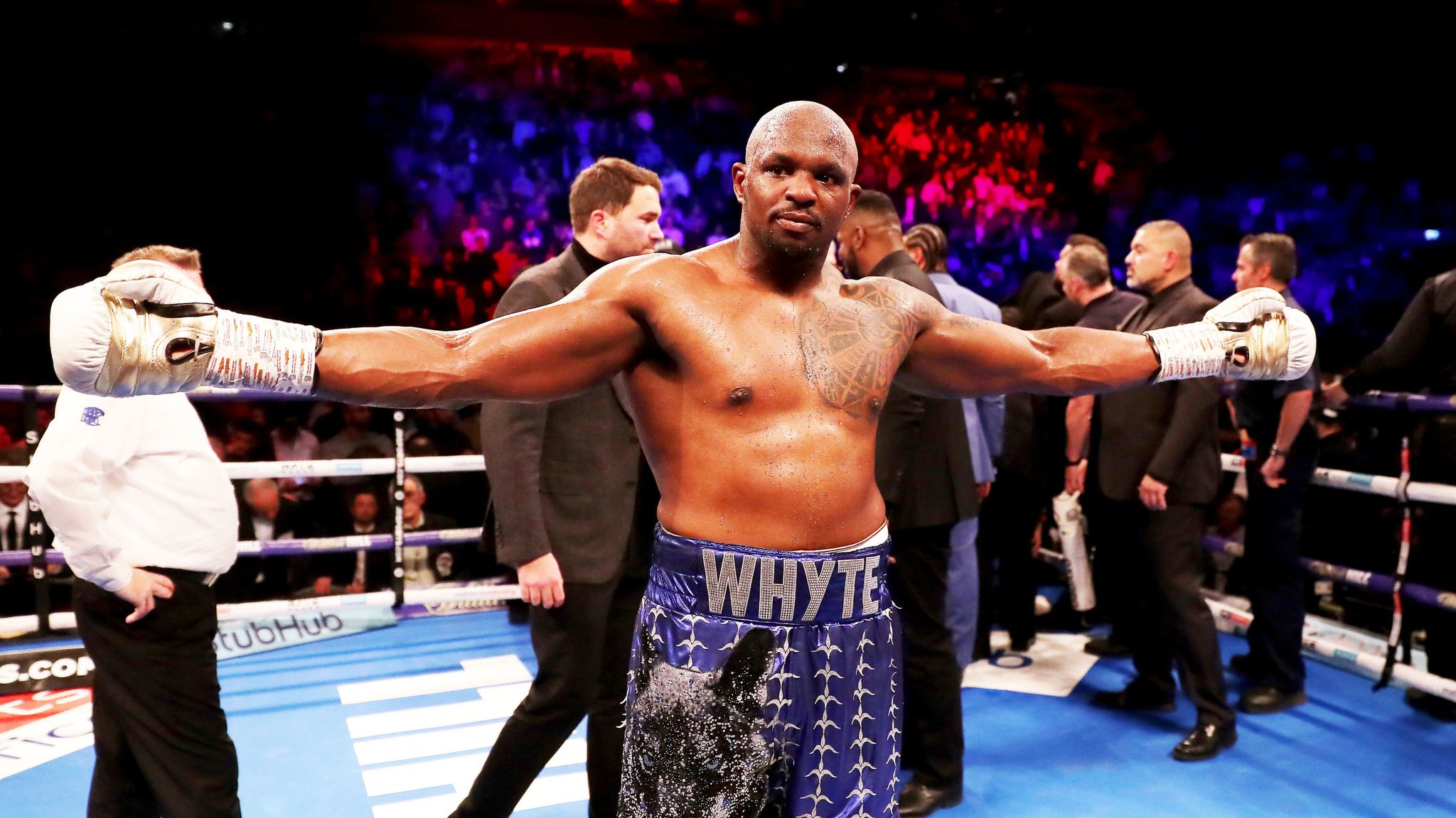 Watch dillian whyte online online