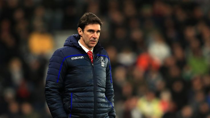 Nottingham Forest manager Aitor Karanka