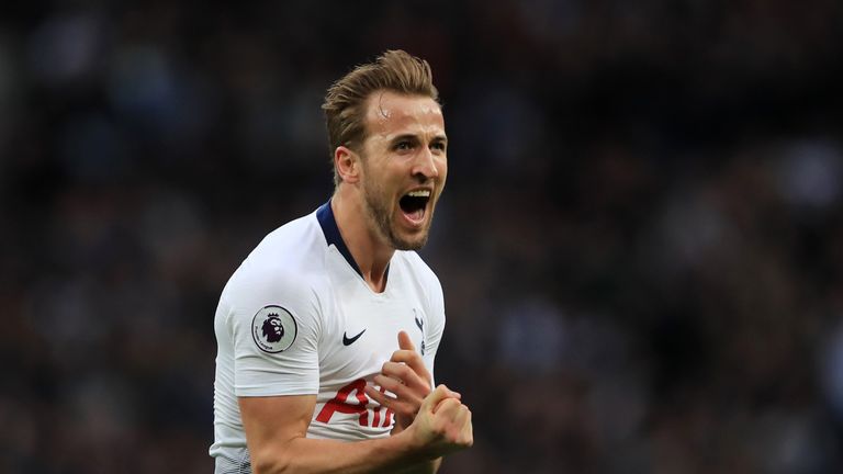 Harry Kane celebrates his opener