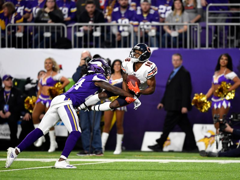 Bears Keep Vikings Out of Playoffs with 24-10 Win, Chicago News