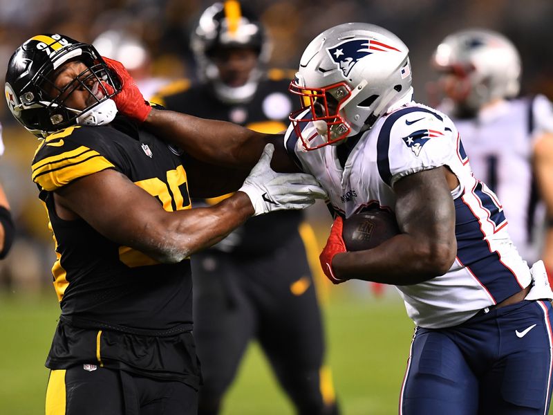 Pittsburgh Steelers defeat New England Patriots 17-10