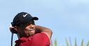 Tiger: Expectations are different