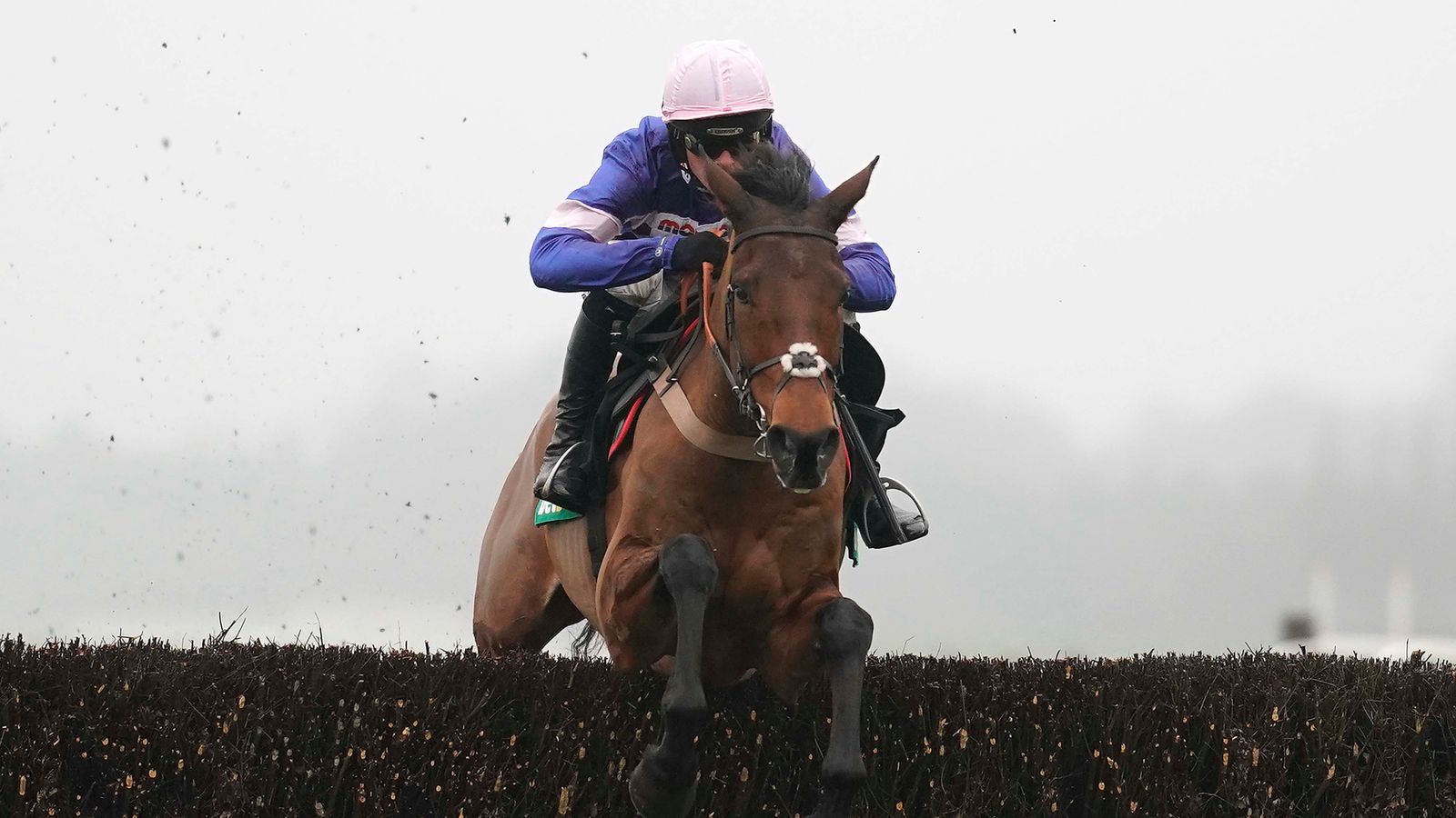 Harry Cobden keeps faith with Cyrname | Racing News