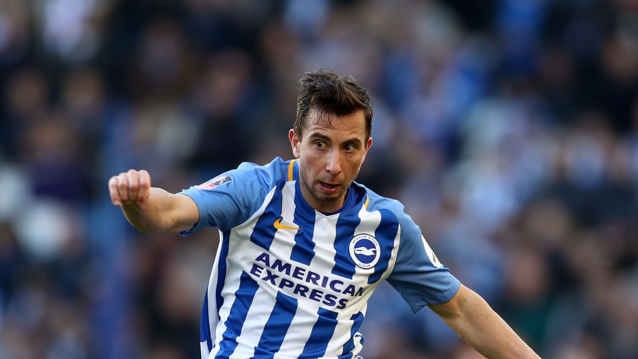 Brighton's Markus Suttner to join Fortuna Dusseldorf on loan | Football ...