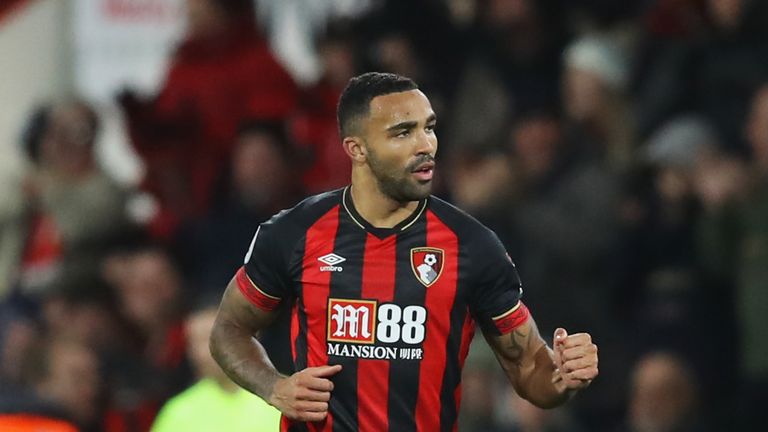 Callum Wilson celebrates after scoring