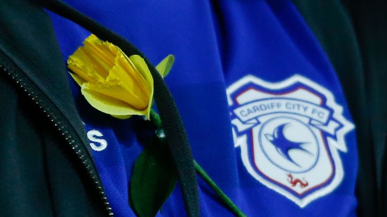 A Cardiff fan wears a yellow daffodil in honour of Cardiff's missing Argentinian player Emiliano Sala