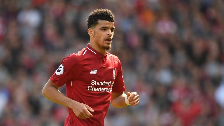 Liverpool striker Dominic Solanke during the Premier League match against Brighton in May 2018