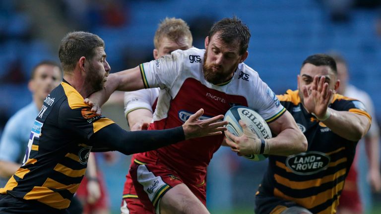 Tom Wood attacking for Northampton Saints against Wasps
