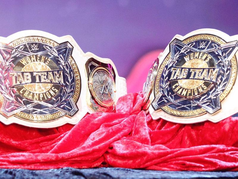 The WWE women's tag-team champions will be crowned at Elimination Chamber  next month