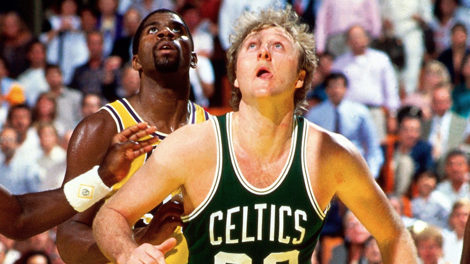 HD wallpaper: NBA, basketball, Larry Bird, Boston Celtics, Magic Johnson