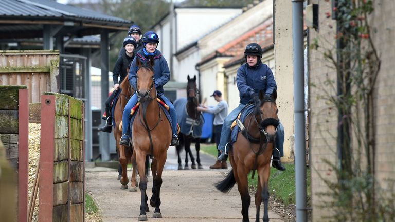Horses leave their yard in Newmarket on Monday morning