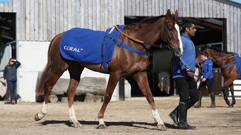 Native River during the visit to Colin Tizzard's Yard in Milbourne Port. PRESS ASSOCIATION Photo. Picture date: Monday February 25, 2019. See PA story RACING Tizzard. Photo credit should read: David Davies/PA Wire