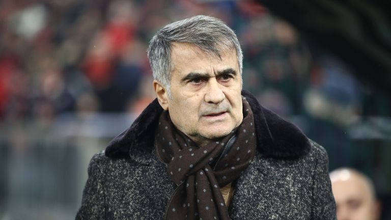  Senol Gunes will take over as Turkey head coach