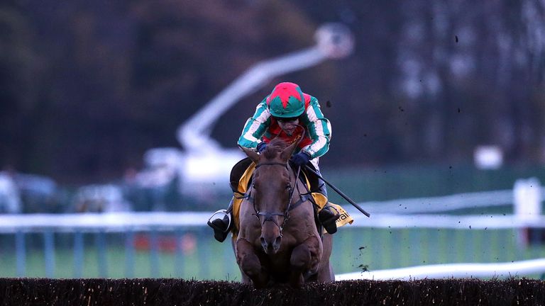 Vieux Lion Rouge - heads to Haydock