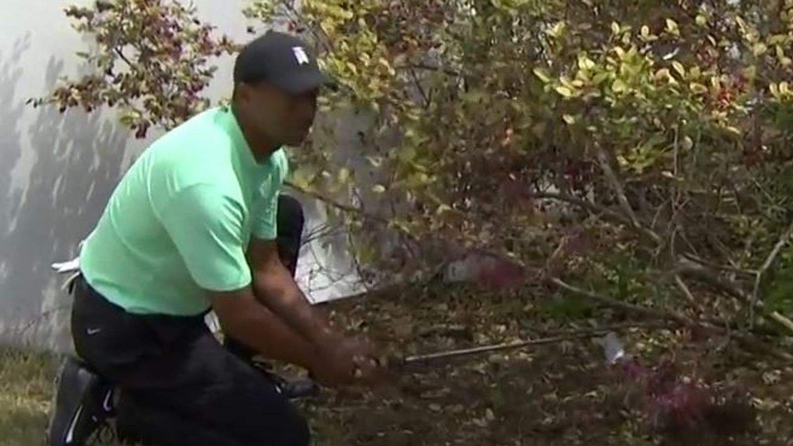 Tiger Woods plays recovery shot from bush in WGC Match Play in Texas