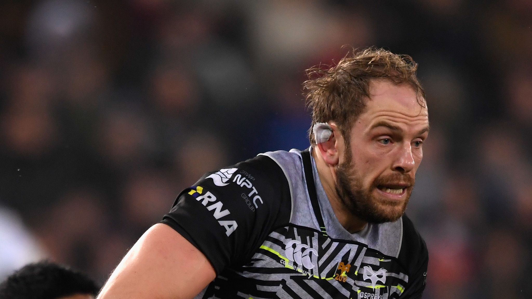 Ospreys' Alun Wyn Jones and George North could miss a month and Scott ...