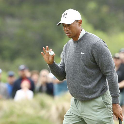 Tiger defeats McIlroy at WGC