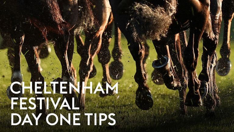 Cheltenham Festival - Day One Tips