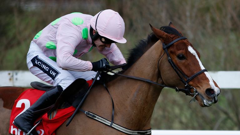 DUBLIN, IRELAND - JANUARY 24:  Ruby Walsh riding Faugheen clear the last to win The BHP Insurance Irish Champion Hurdle Race at Leopardstown racecourse on January 24, 2016 in Dublin, Ireland. (Photo by Alan Crowhurst/Getty Images) *** Local Caption *** Ruby Walsh;Faugheen 