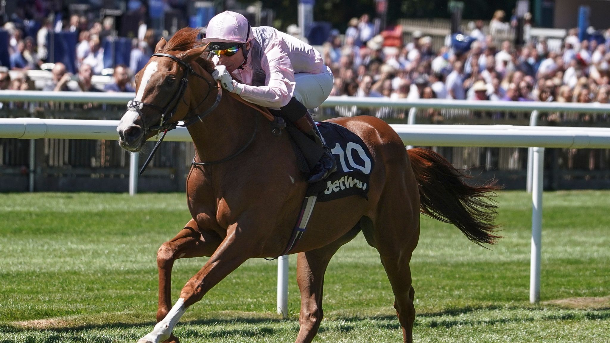 ed walker stable tour