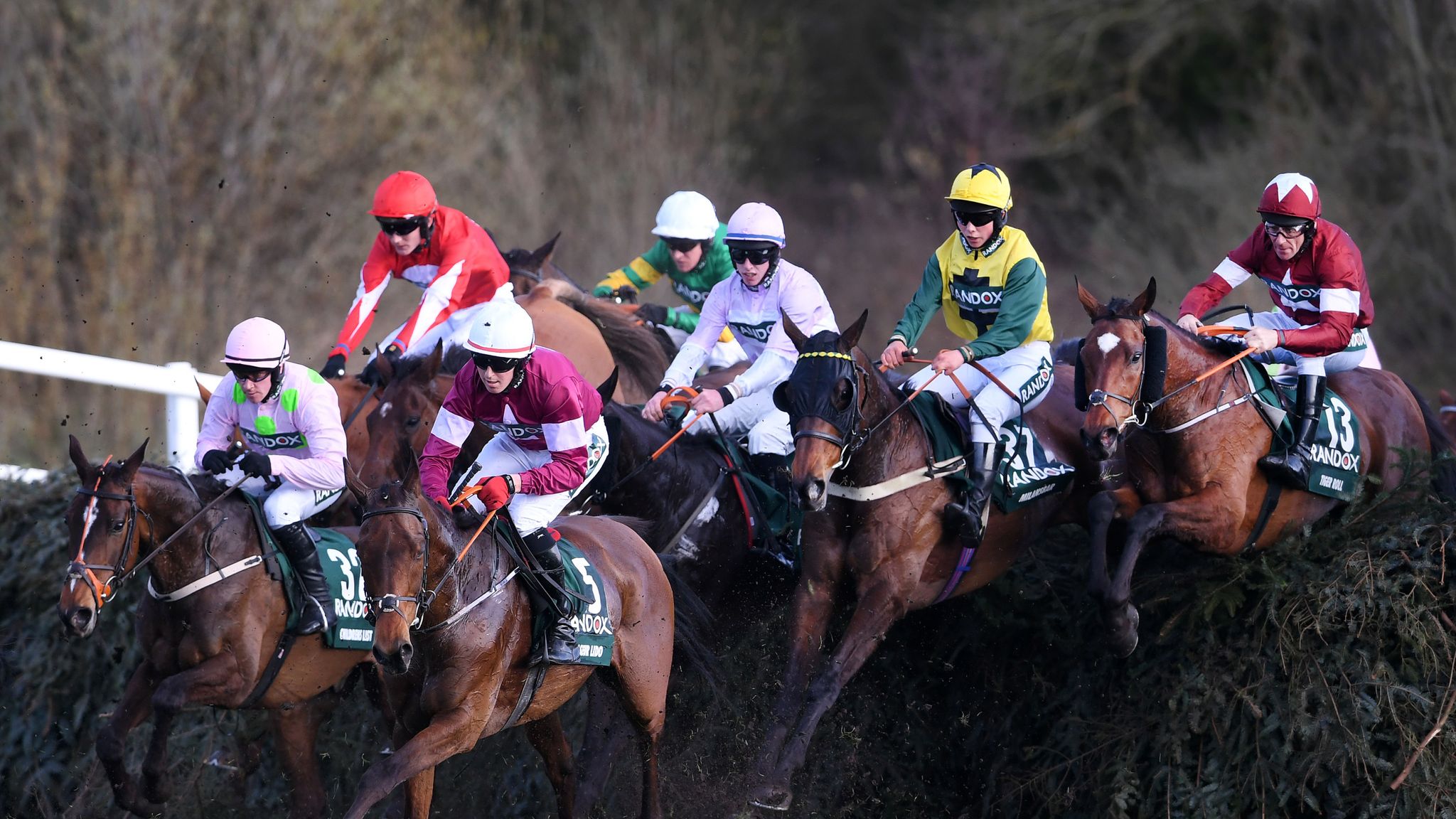 Grand national. Horse Racing in England. Few Horses. What Races are.