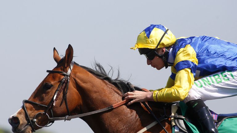 Electric Ladyland wins at Kempton