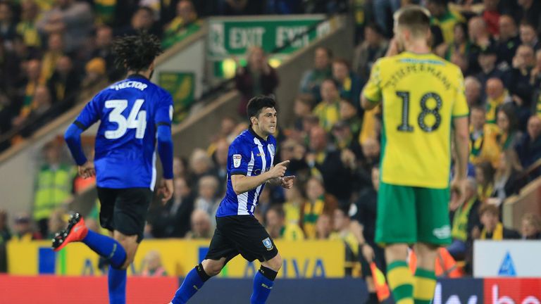 Fernando Forestieri celebrates his goal for Sheffield Wednesday