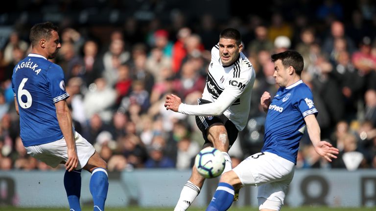 Aleksandar Mitrovic was a constant thorn in the Everton defence