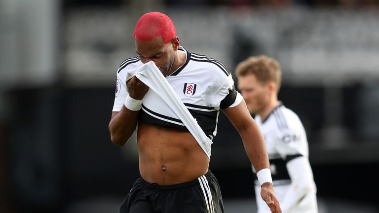 Ryan Babel has been unable to halt Fulham&#39;s slide back to the Championship