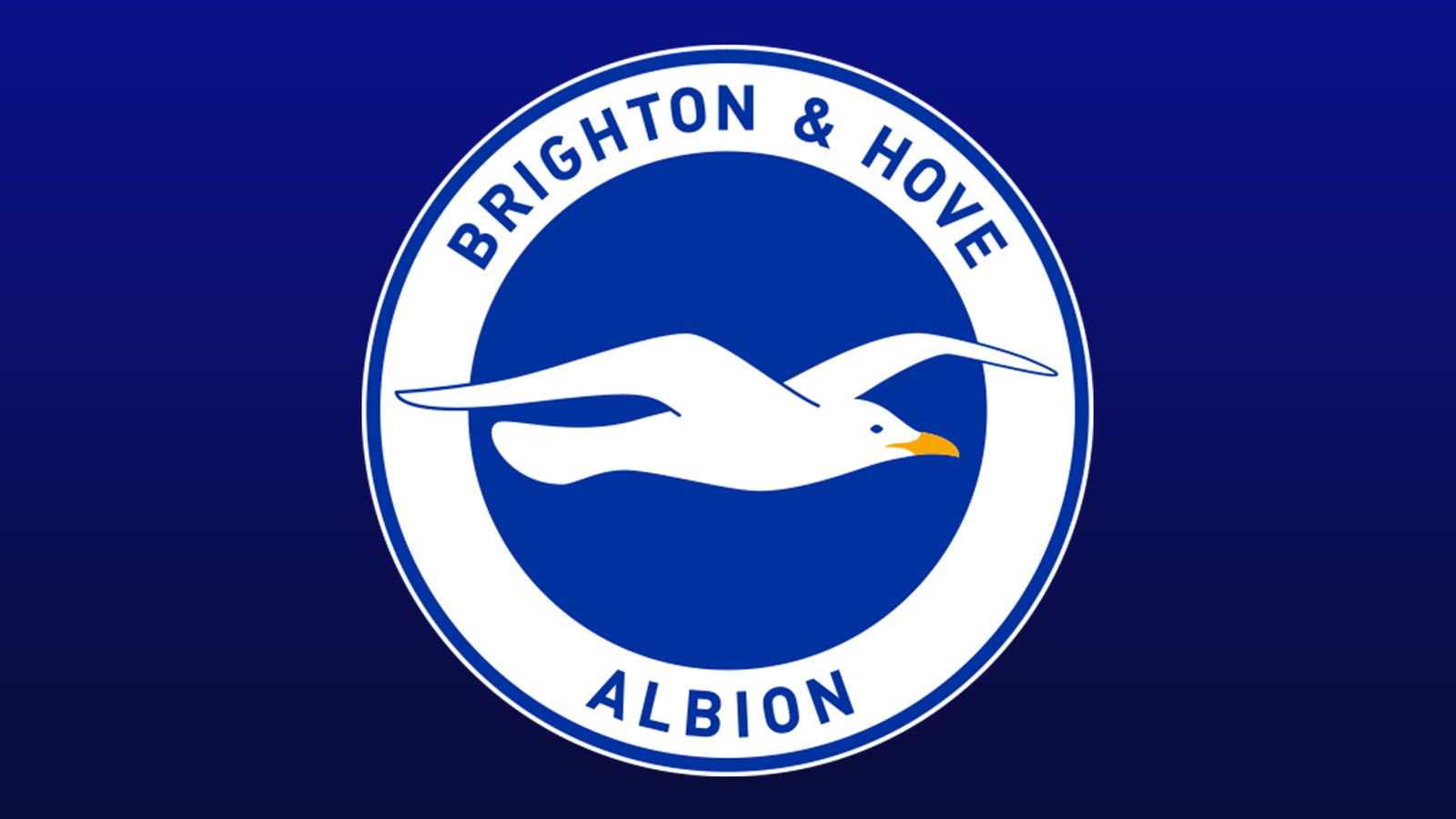 Premier League transfer window Who should Brighton sign? Football