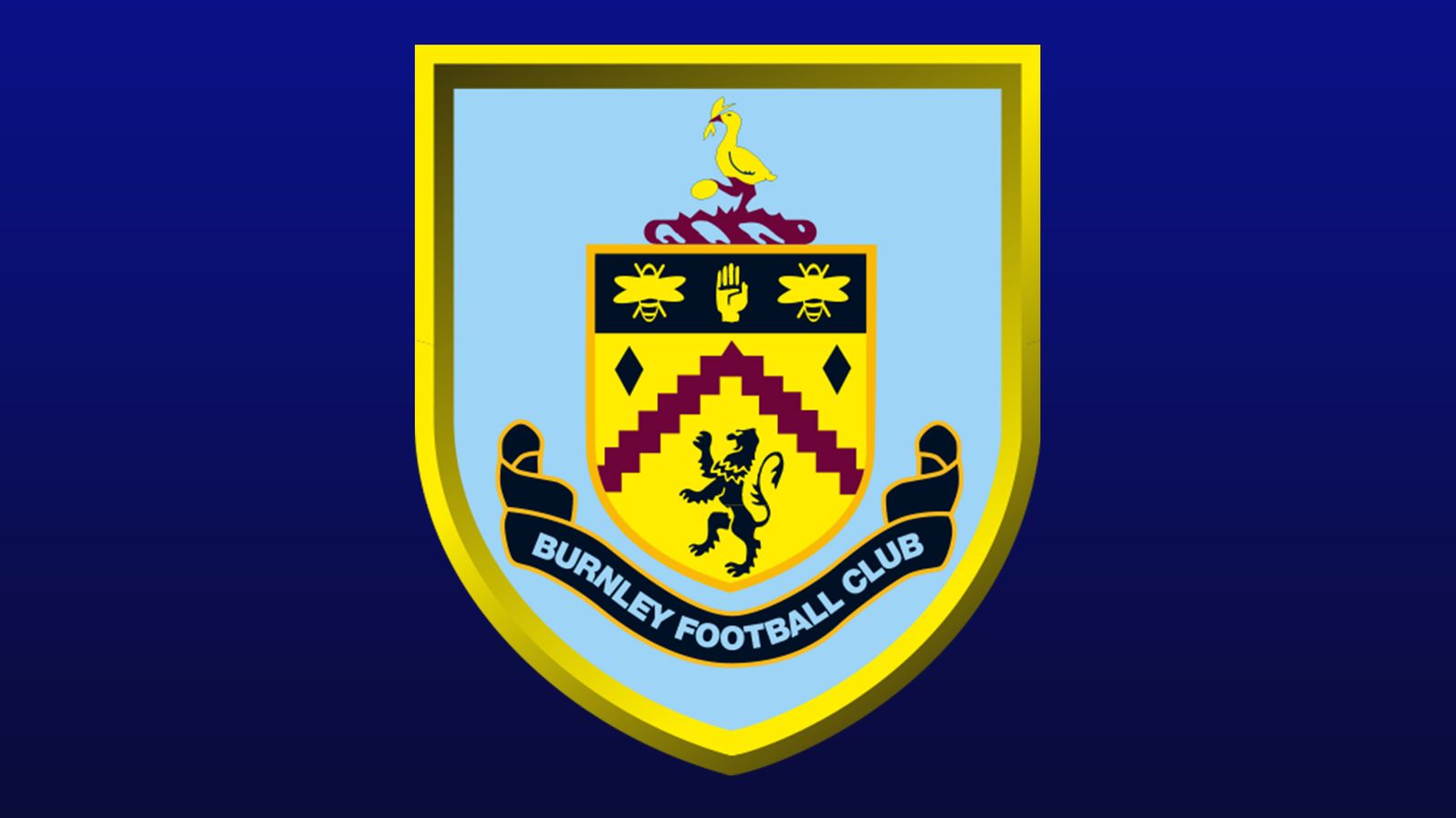 Burnley team and player season stats in the Premier League 2018/19 ...