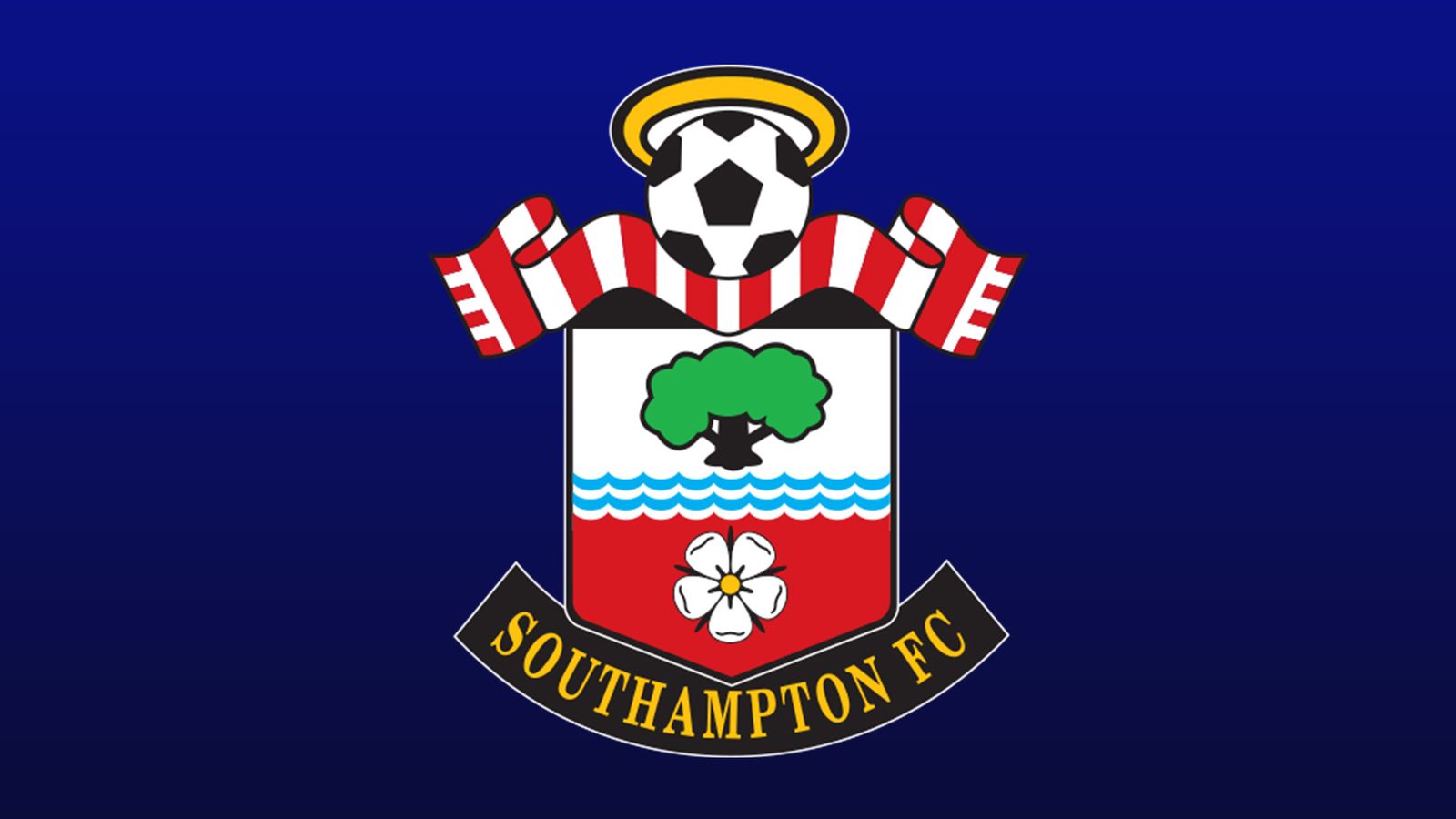 Southampton Team And Player Season Stats In The Premier League 2018/19 ...