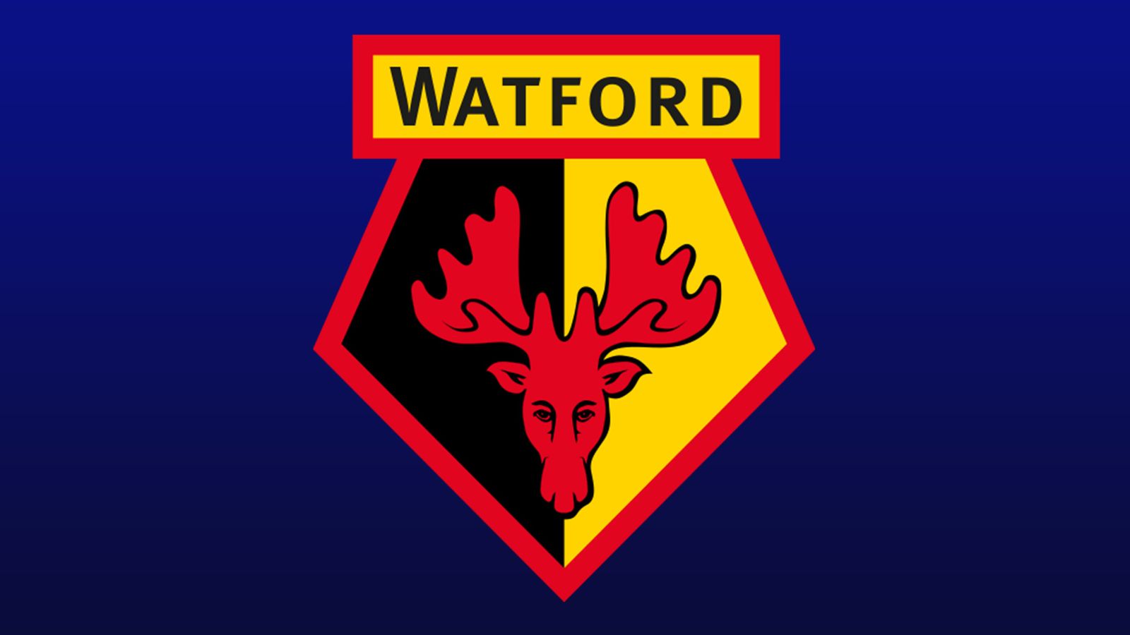 Watford team and player season stats in the Premier League 2018/19 ...