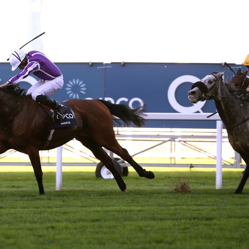 Champion made to measure