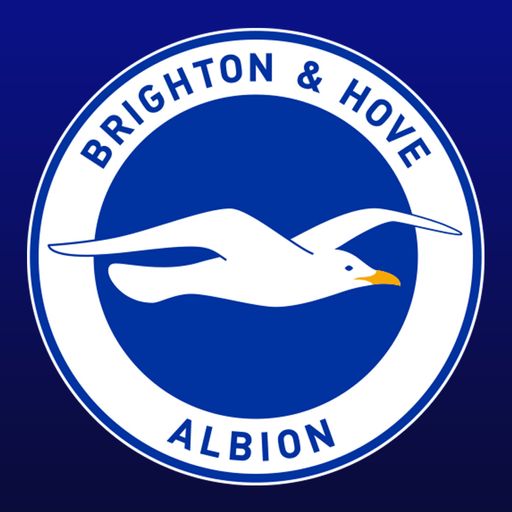 Insight: Who should Brighton sign?