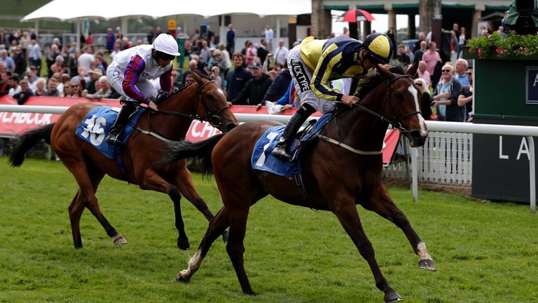 Good Vibes wins at York under Harry Bentley