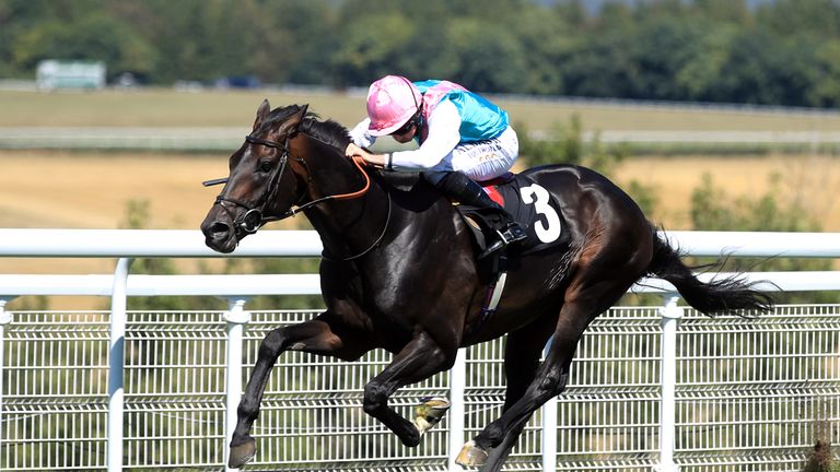 Mirage Dancer in winning action at Goodwood