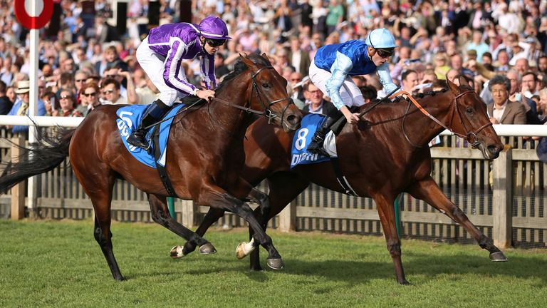 Persian King Likely To Head To Deauville Rather Than York Racing News Sky Sports