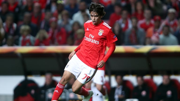 Benfica's Joao Felix has been a breakthrough star in the Portuguese Primeira this season.