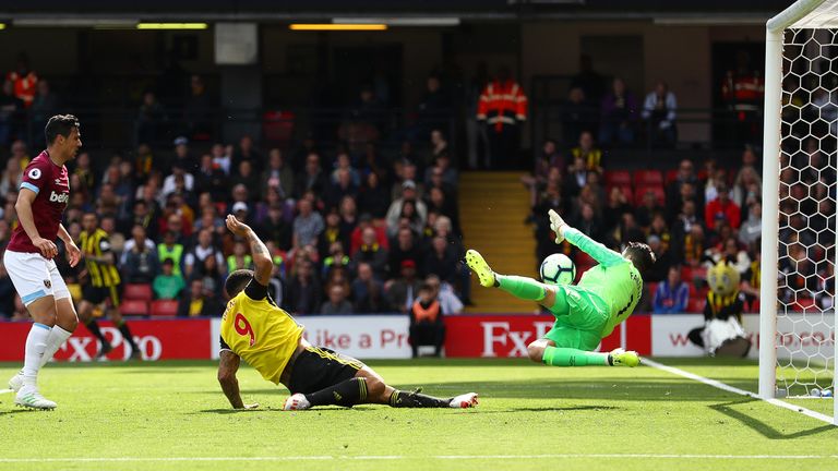 Lukasz Fabianski saves from Troy Deeney