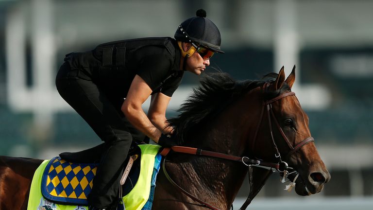 LOUISVILLE, KENTUCKY - MAY 02: Game Winner trains on the track during morning workouts in preparation for the 145th running of the Kentucky Derby at Churchill Downs on May 2, 2019 in Louisville, Kentucky. (Photo by Michael Reaves/Getty Images)