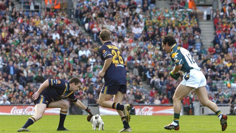 In 2004, Croke Park was invaded by a dog during the International Rules clash between Ireland and Australia