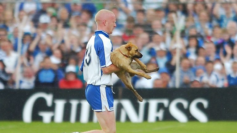 It's not the first time that a canine interrupted proceedings in a GAA gae. John Mullane escorted a dog off the field during the 2007 Munster Hurling Championship final
