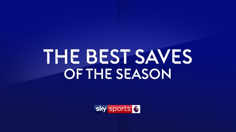 PL Saves of the Season