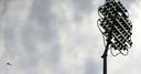 Fan scuffles at Pakistan-Afghanistan game