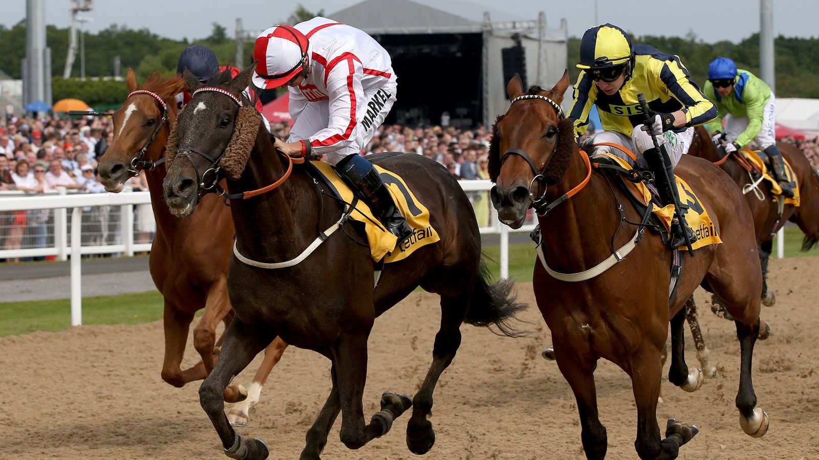 Northumberland Plate Report: Who Dares Wins Takes Plate Prize | Racing ...