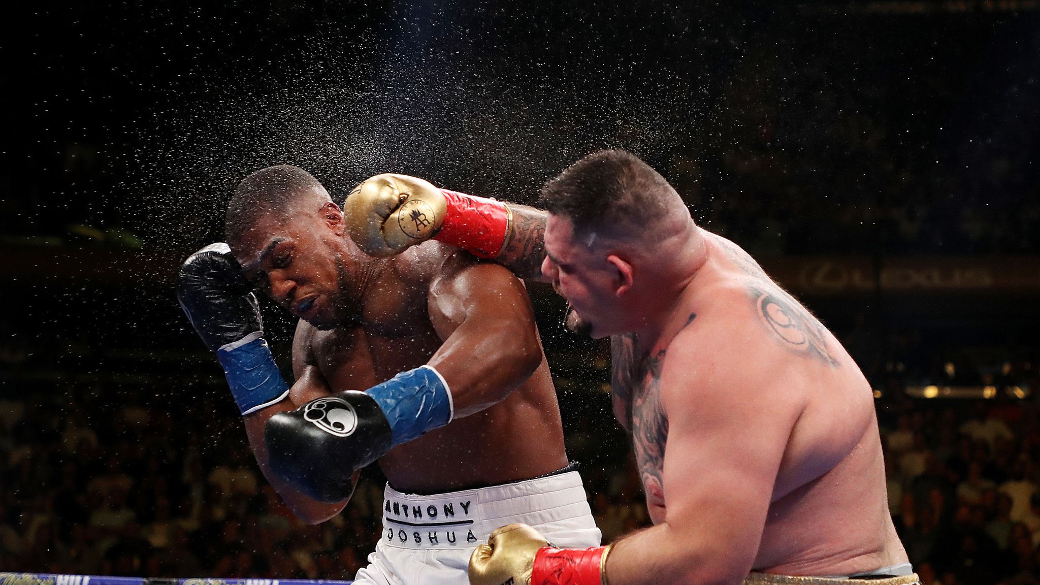 Ren og skær Elemental Wedge Joshua vs Ruiz Jr: Anthony Joshua beaten by Andy Ruiz Jr in stunning New  York shock | Boxing News | Sky Sports