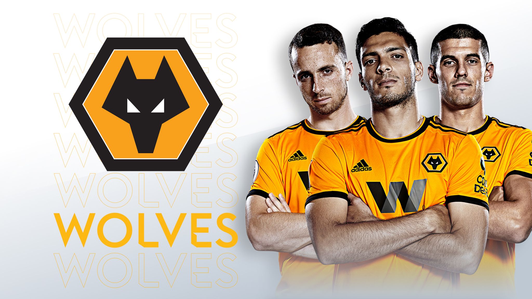 Cool Full Hd Wolves Fc Wallpaper Images