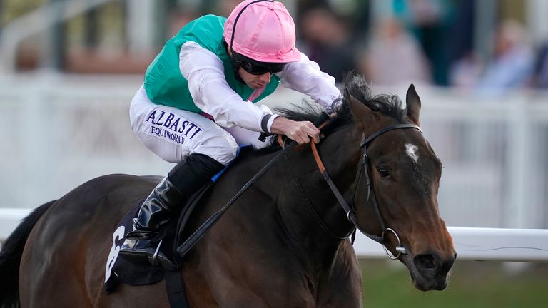 Jubiloso - runs in Coronation Stakes at Royal Ascot