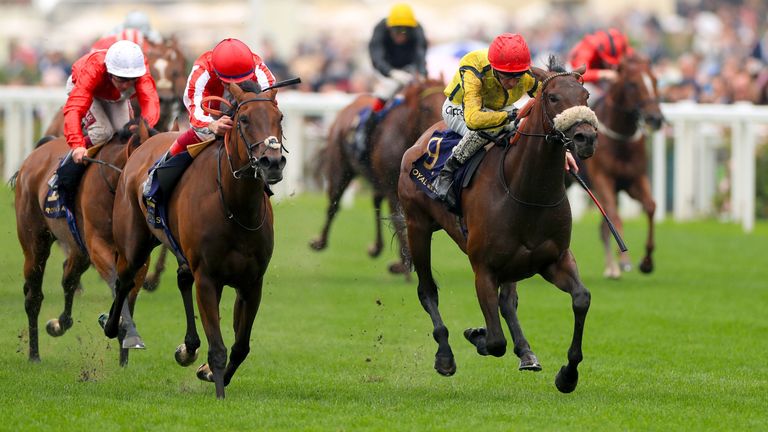 Move Swiftly ridden by jockey Daniel Tudhope on his way to winning the Duke of Cambridge Stakes